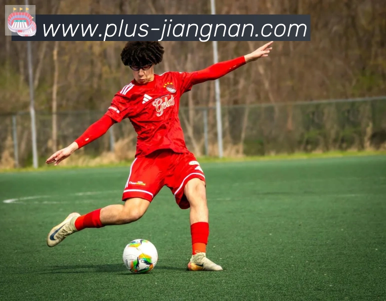 江南体育平台生态图